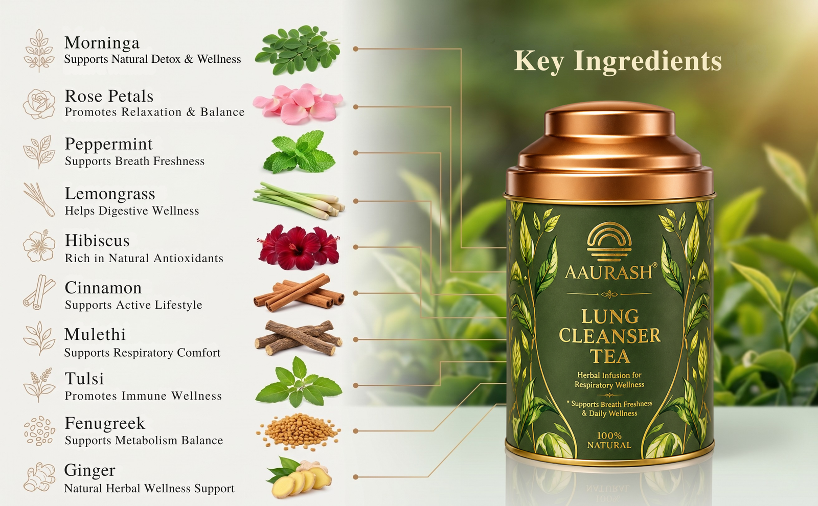 Aaurash Lungs Cleanser Herbal Tea | Breathing Comfort & Detox Support Tea | Supports Respiratory Wellness & Natural Detox | Caffeine-Free Herbal Tea
