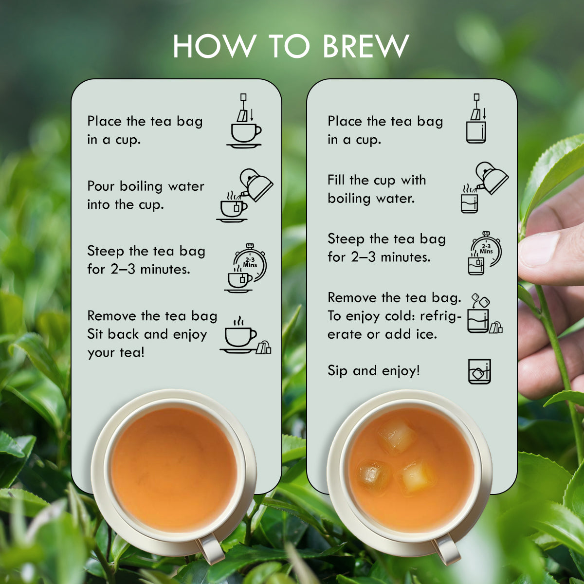 Aaurash Morning Fresh Tea – Energizing Herbal Wellness Blend with Green Tea, Tulsi, Ginger & Lemon | Natural Energy, Immunity & Digestive Support | 30 Tea Bags