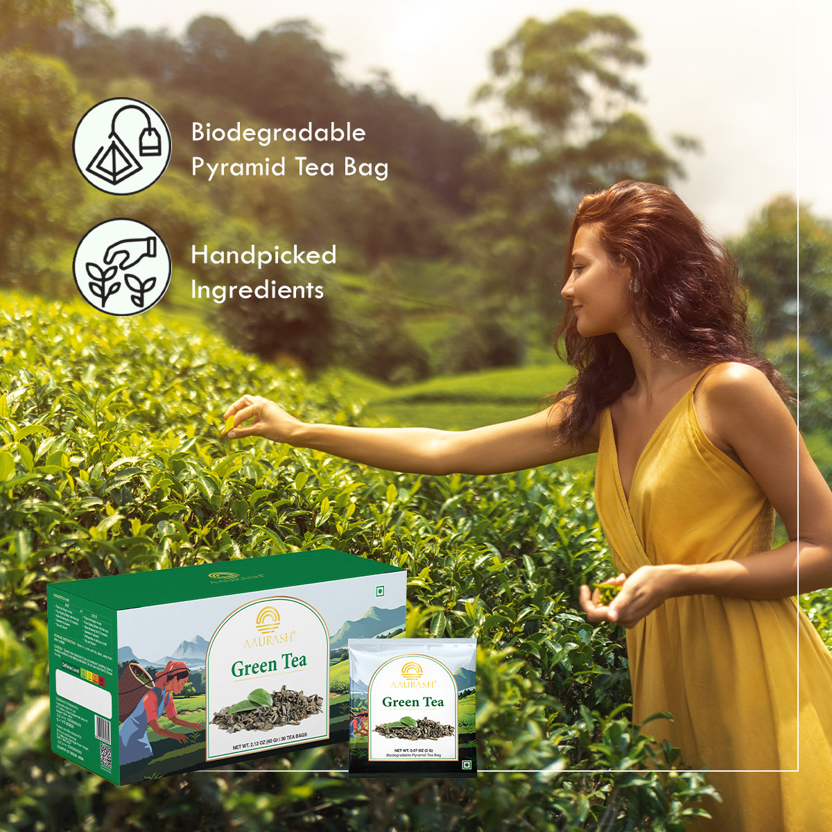 Aaurash Premium Green Tea Leaves